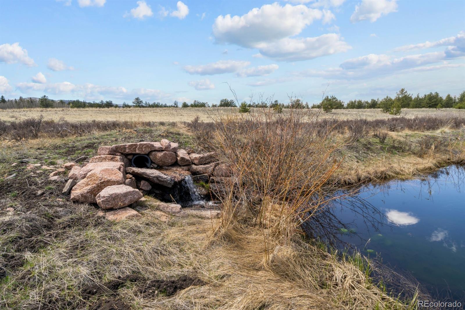 MLS Image #33 for 562  ranger station road,guffey, Colorado