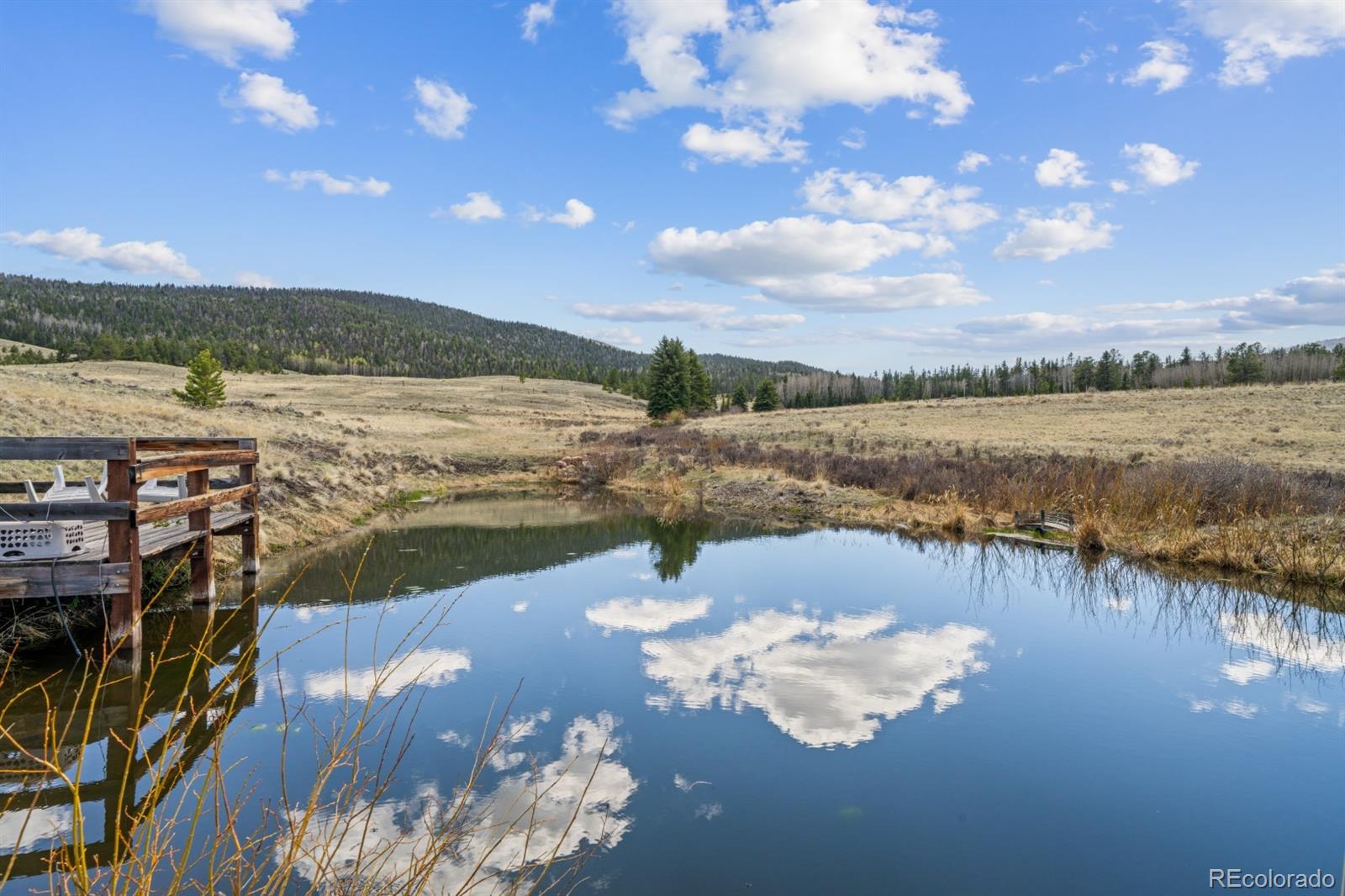 MLS Image #39 for 562  ranger station road,guffey, Colorado