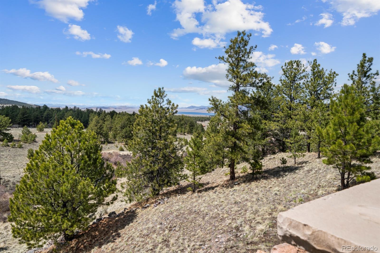 MLS Image #41 for 562  ranger station road,guffey, Colorado