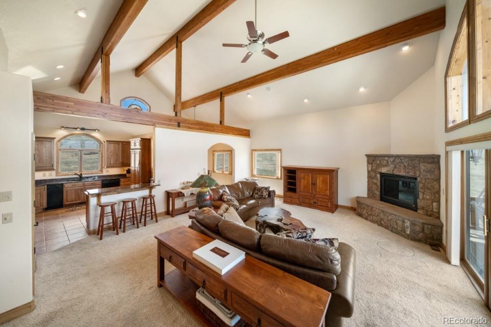 MLS Image #6 for 562  ranger station road,guffey, Colorado