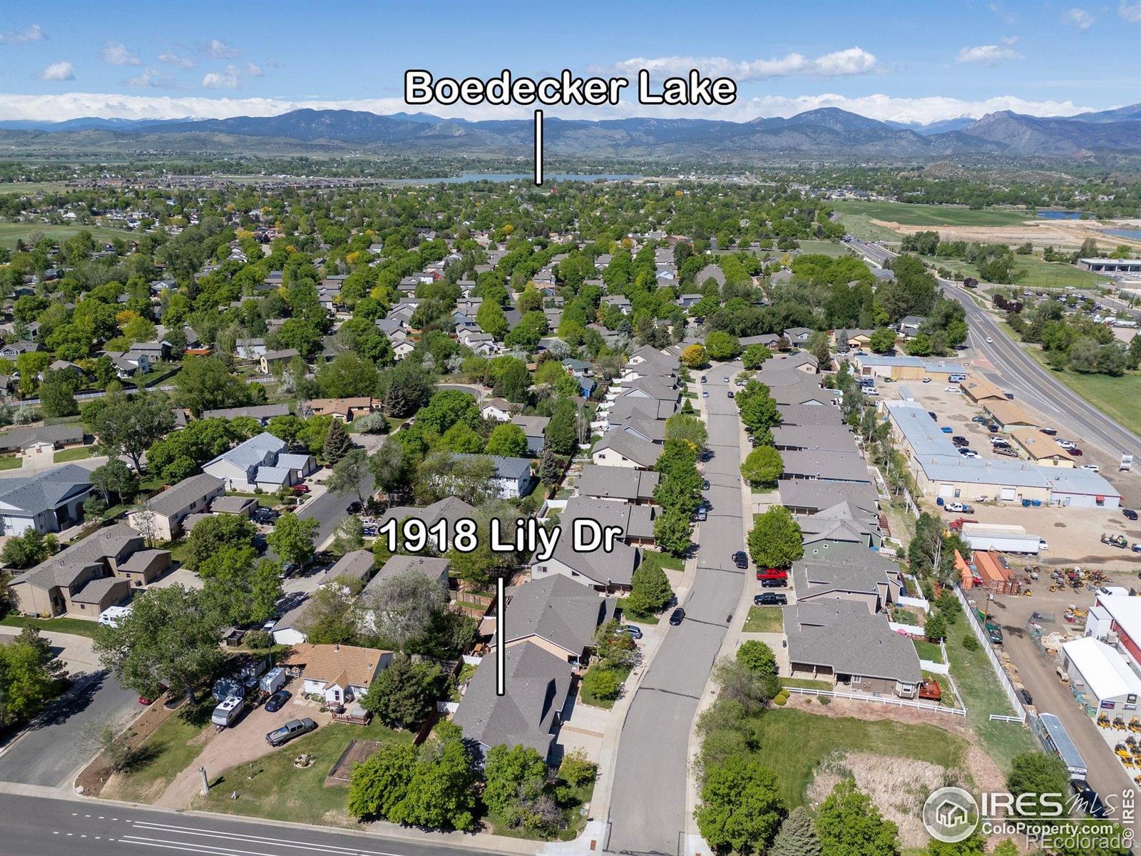 MLS Image #27 for 1918  lily drive,loveland, Colorado