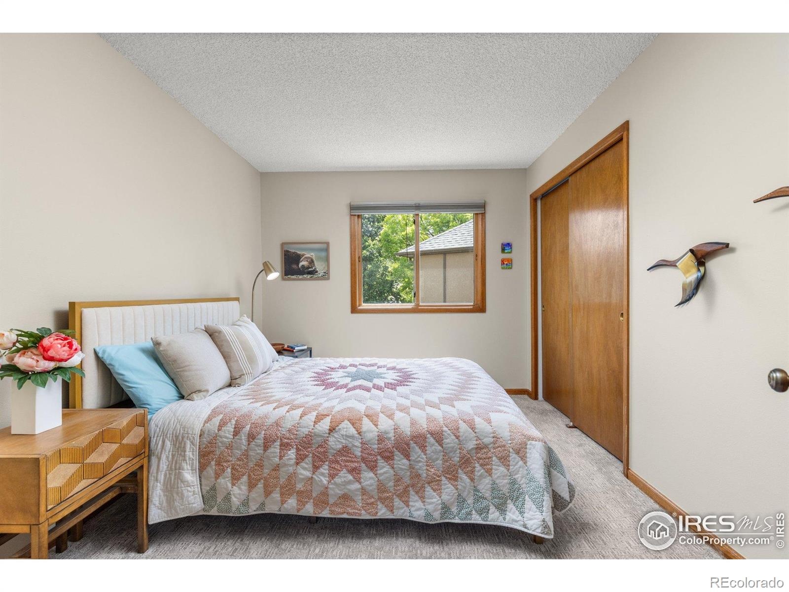 MLS Image #24 for 4219  cape cod circle,fort collins, Colorado