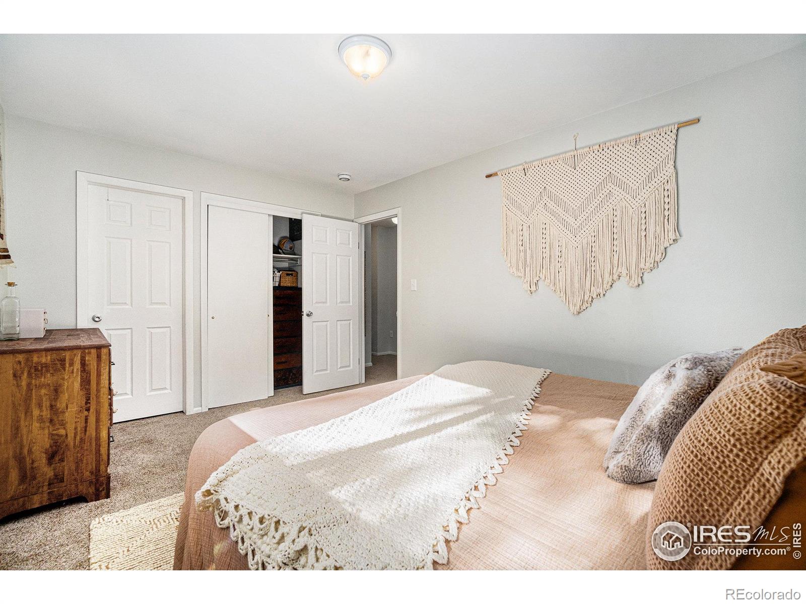 MLS Image #11 for 1001  strachan drive,fort collins, Colorado