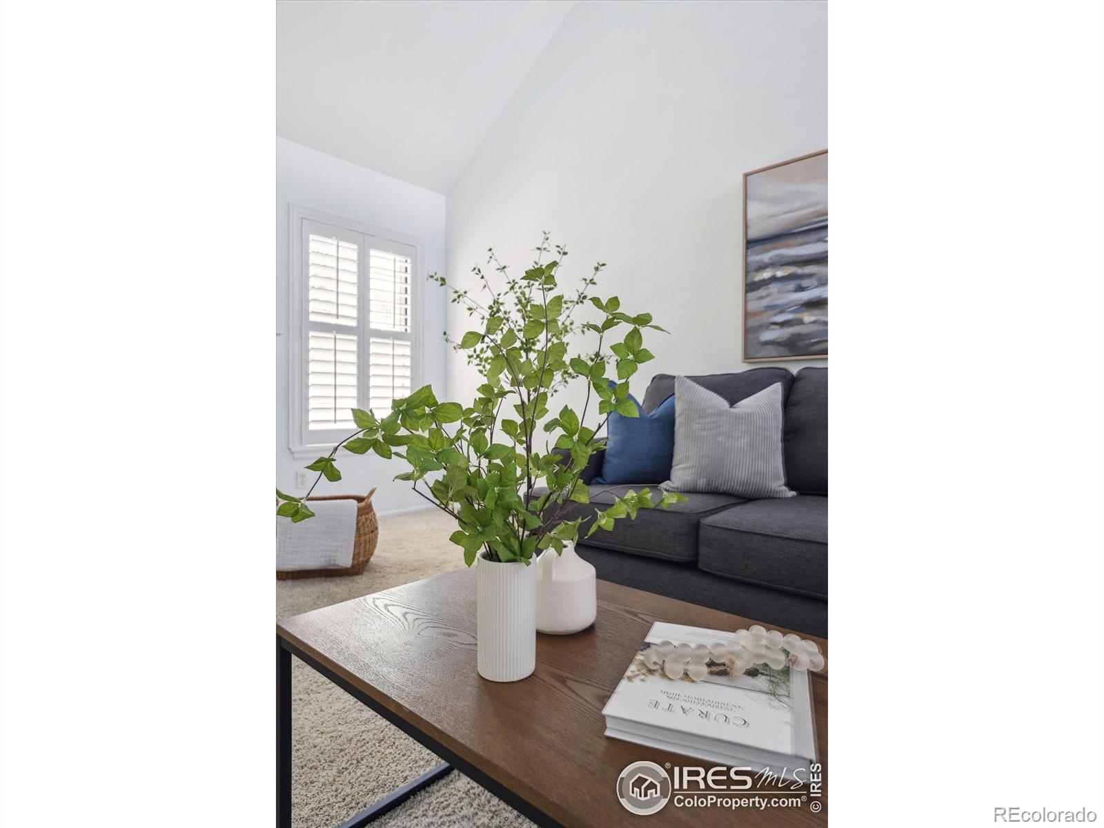 MLS Image #5 for 7190 s poplar court,centennial, Colorado