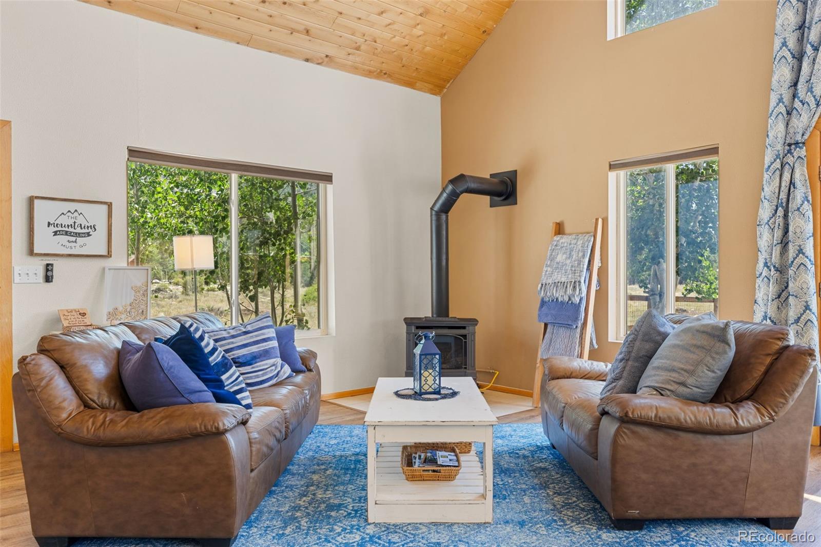 MLS Image #12 for 37488  county road 371a ,buena vista, Colorado