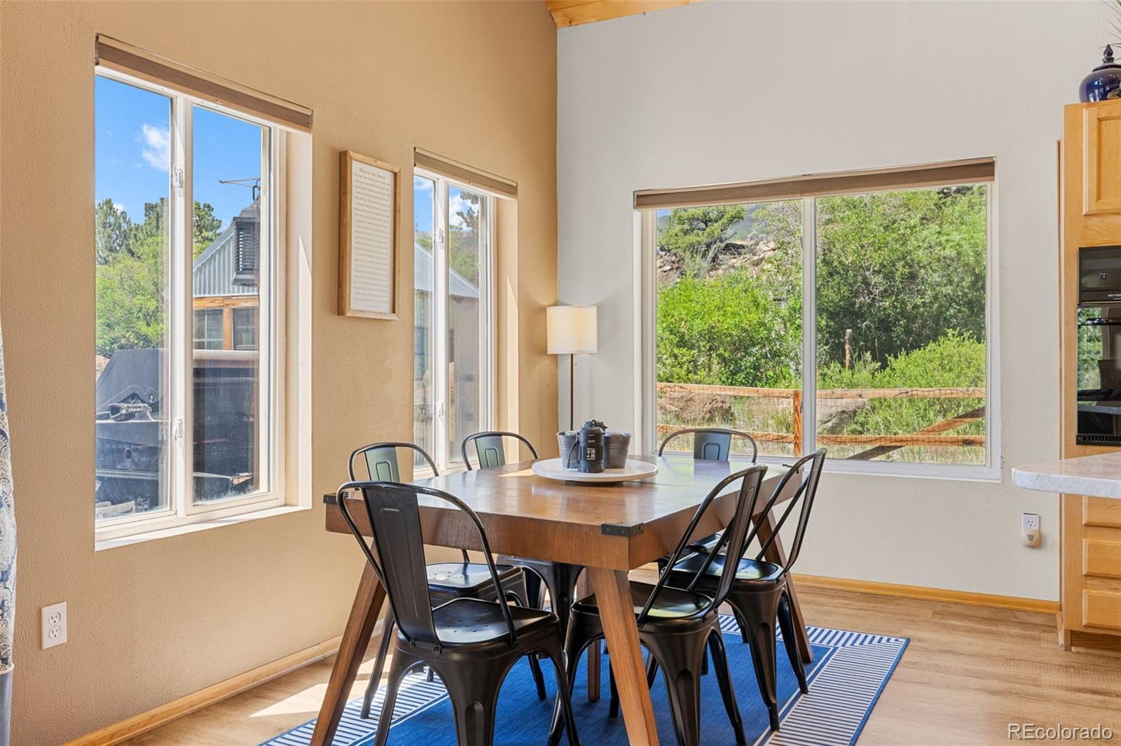 MLS Image #17 for 37488  county road 371a ,buena vista, Colorado