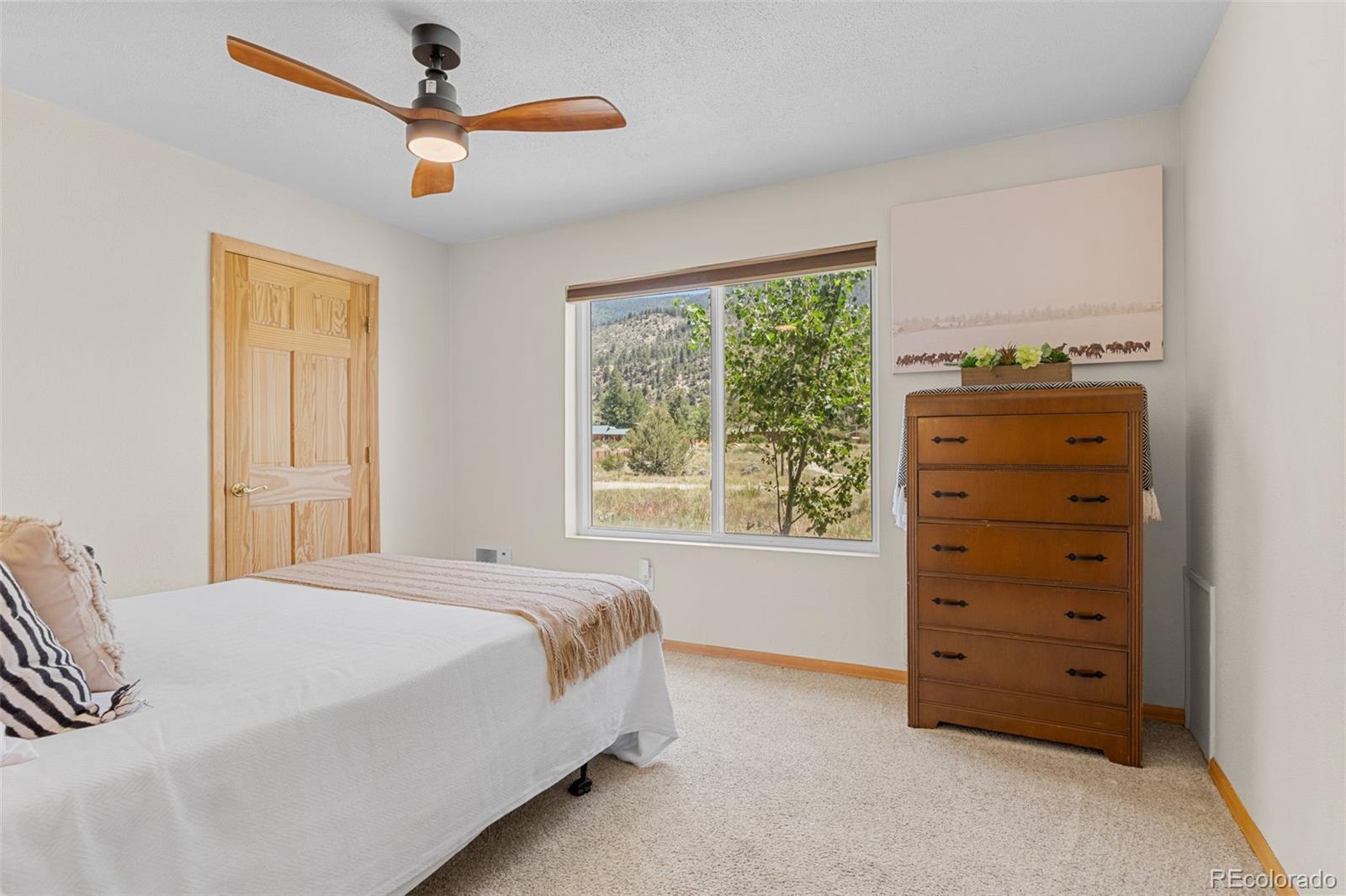 MLS Image #25 for 37488  county road 371a ,buena vista, Colorado