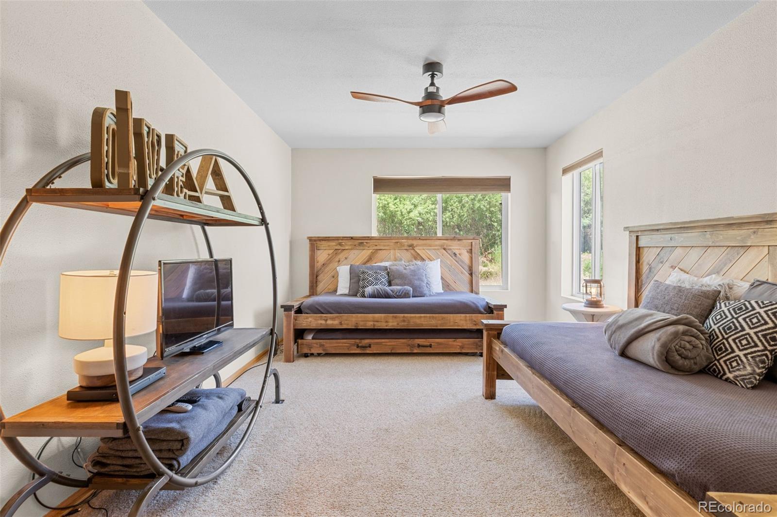 MLS Image #29 for 37488  county road 371a ,buena vista, Colorado