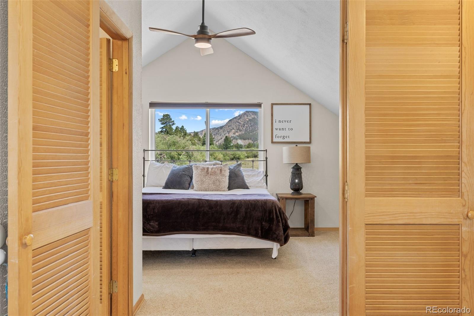 MLS Image #34 for 37488  county road 371a ,buena vista, Colorado