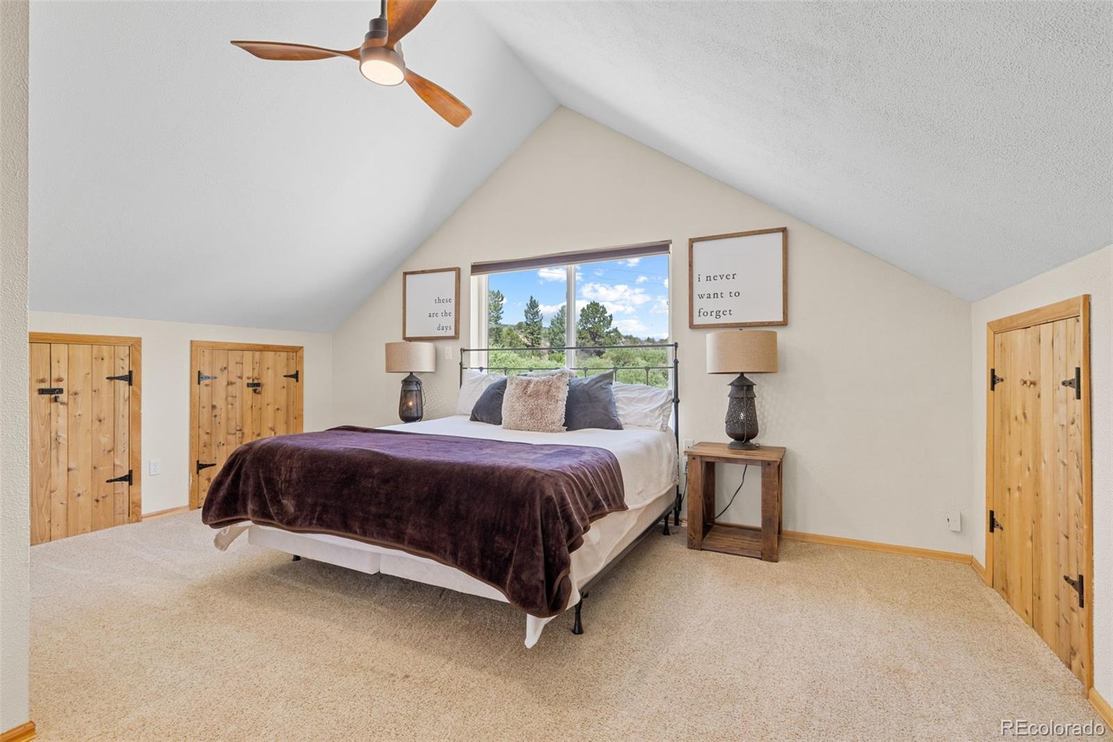MLS Image #35 for 37488  county road 371a ,buena vista, Colorado