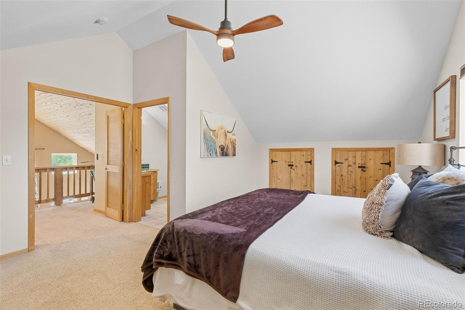 MLS Image #36 for 37488  county road 371a ,buena vista, Colorado