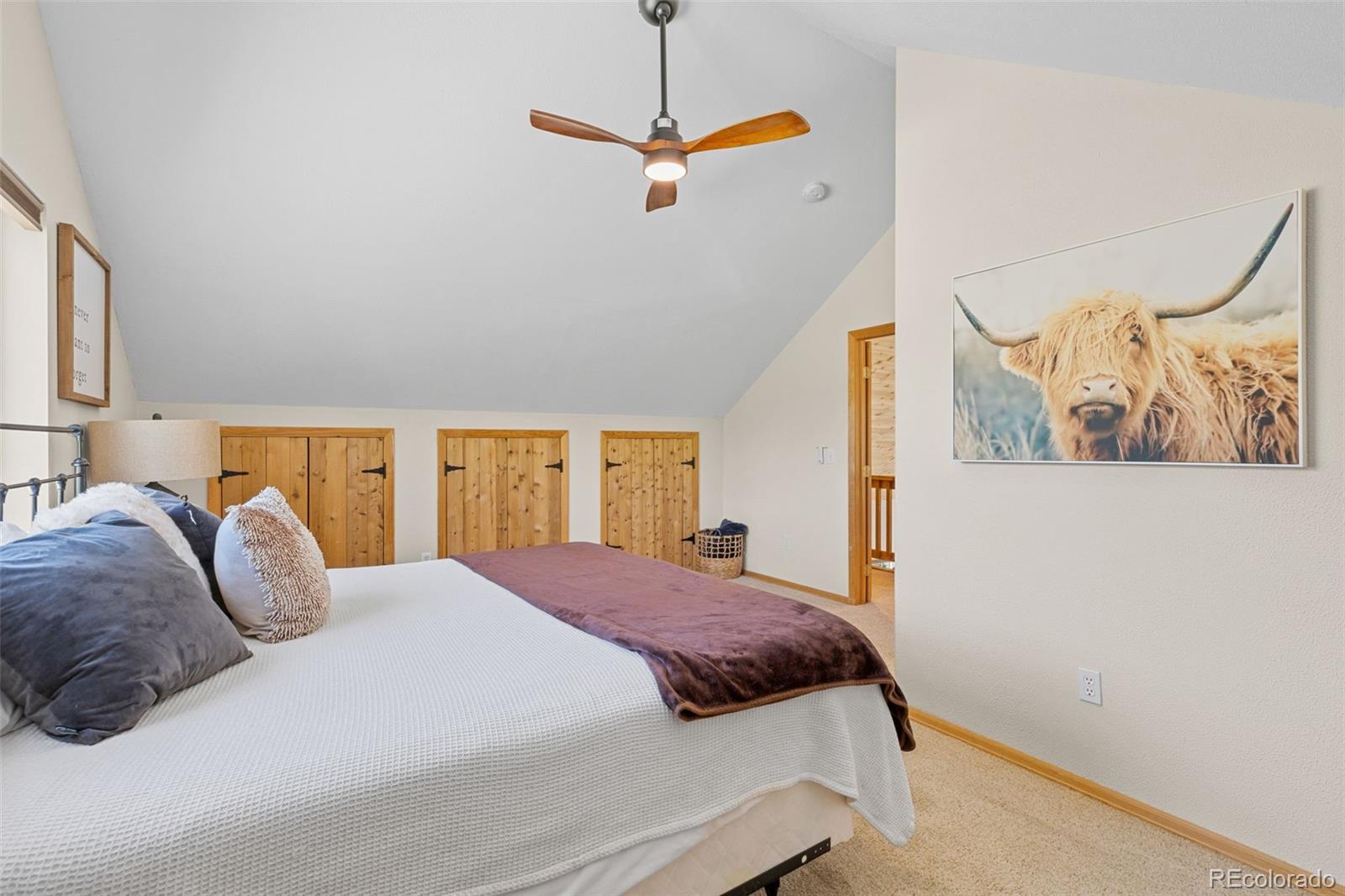 MLS Image #37 for 37488  county road 371a ,buena vista, Colorado