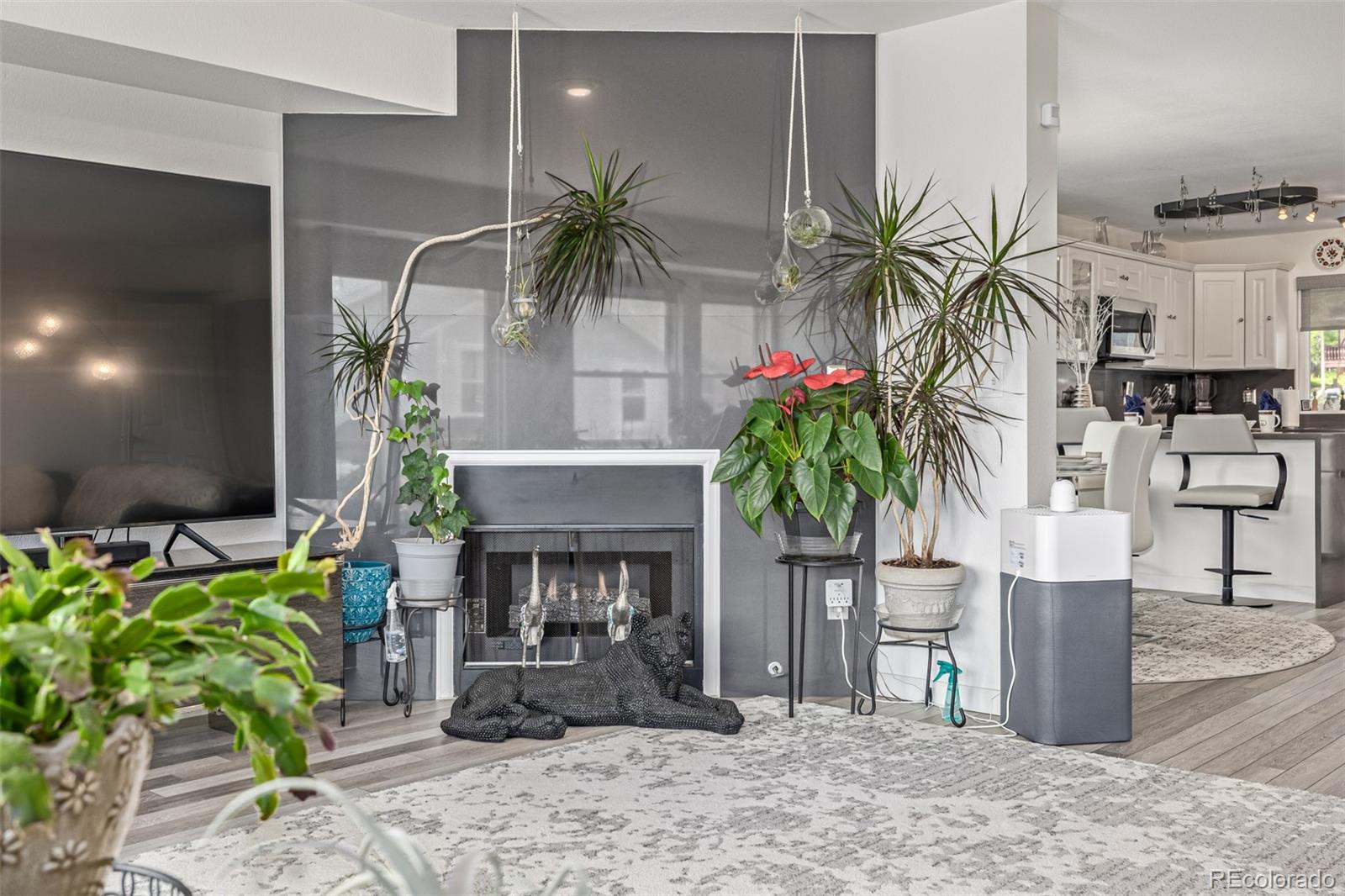 MLS Image #10 for 6260  everett court d,arvada, Colorado