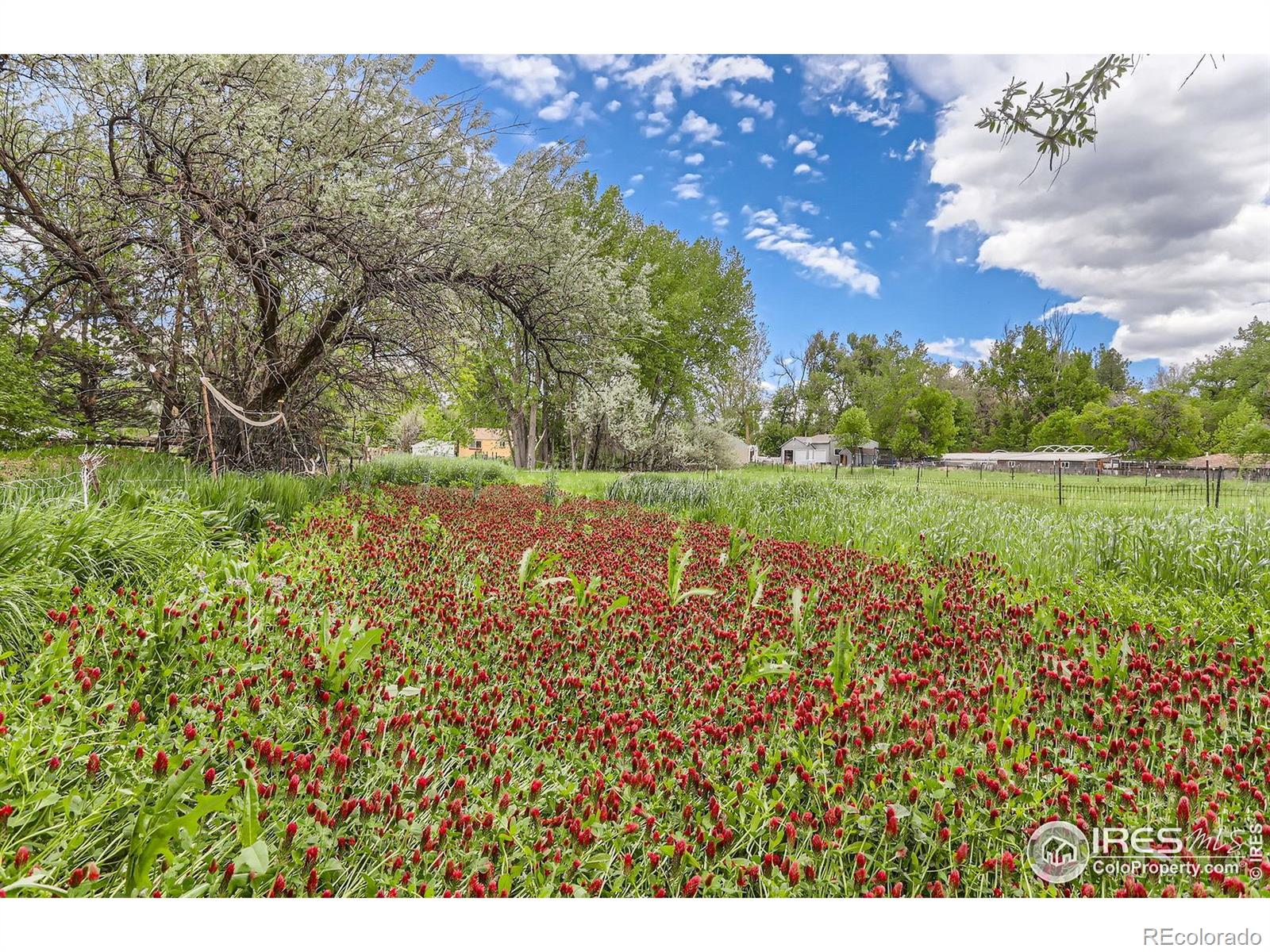 MLS Image #35 for 1047  cherryvale road,boulder, Colorado