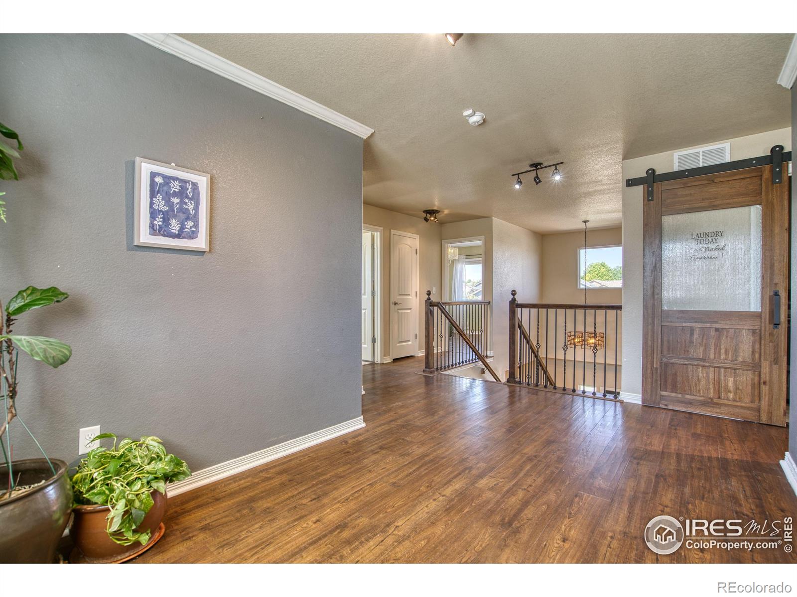 MLS Image #12 for 9018  harlequin circle,frederick, Colorado