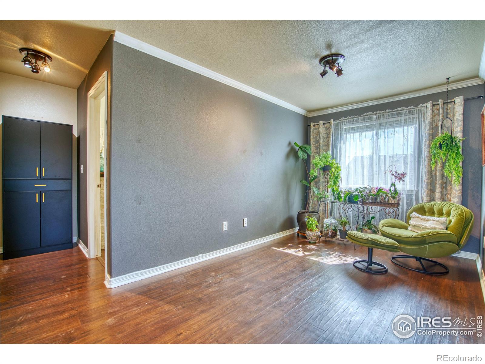MLS Image #25 for 9018  harlequin circle,frederick, Colorado
