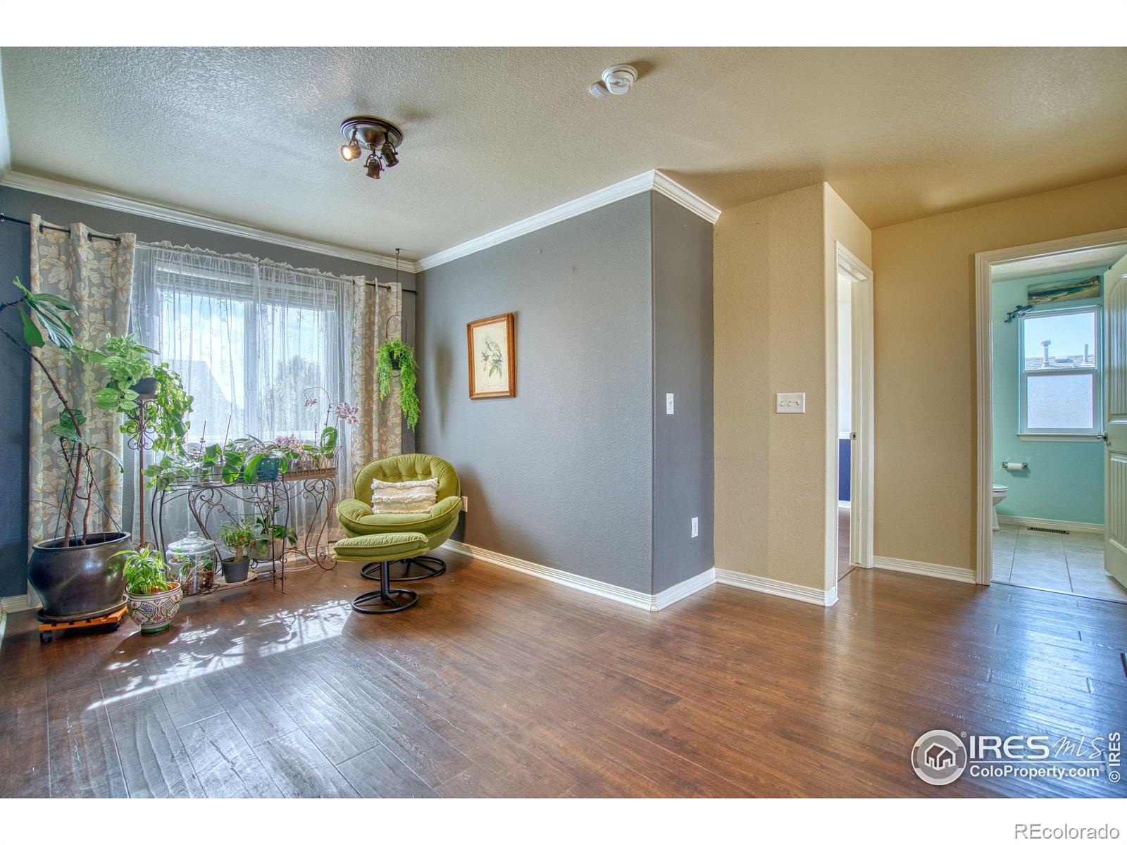MLS Image #33 for 9018  harlequin circle,frederick, Colorado