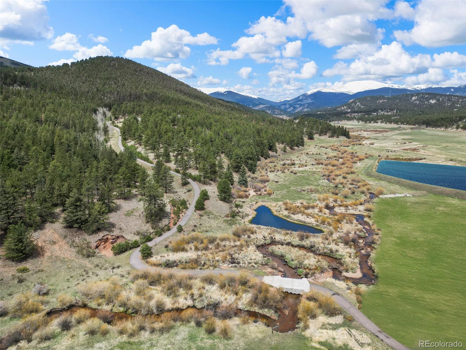 MLS Image #10 for 3763  county road 43 ,bailey, Colorado