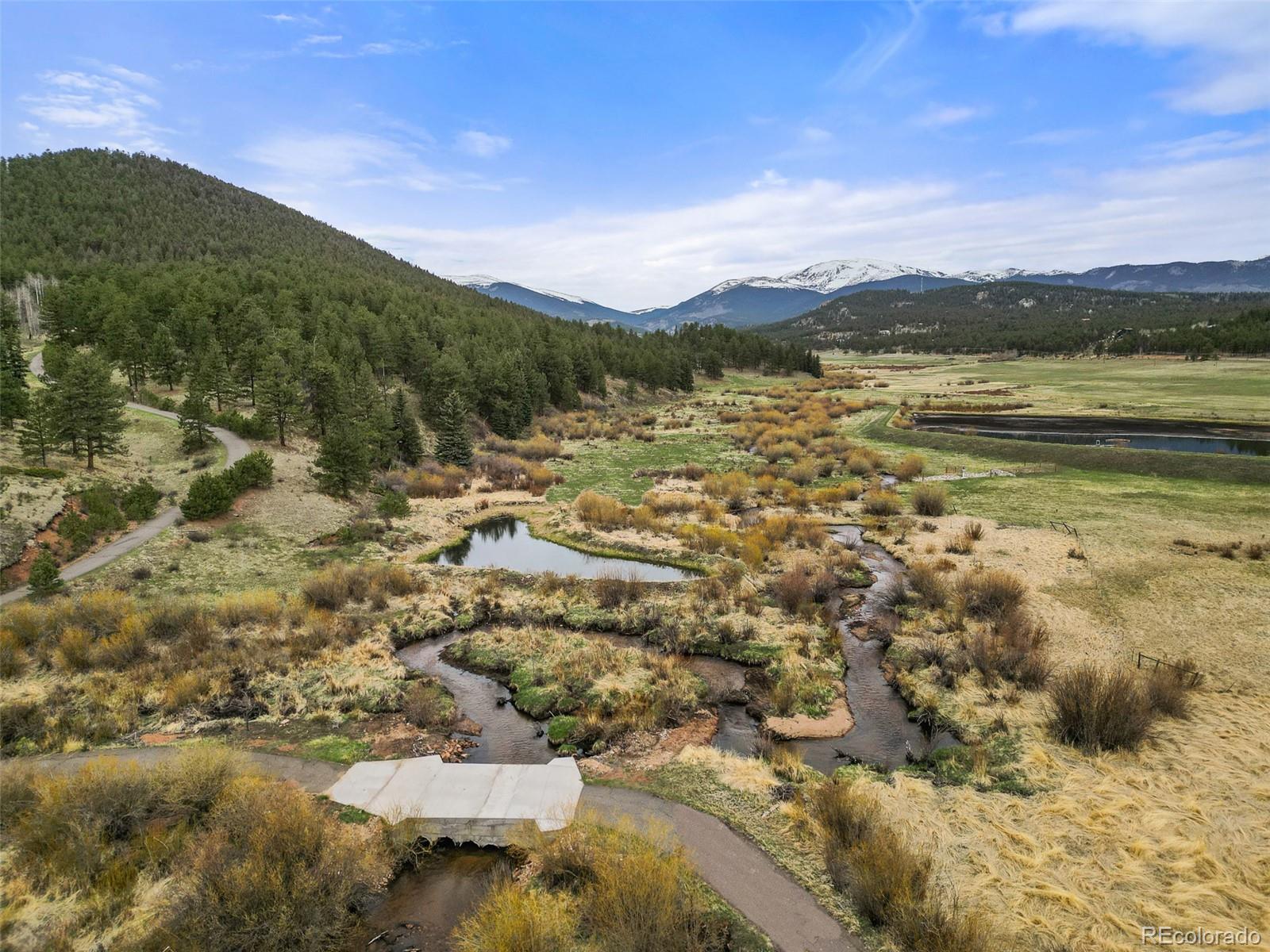 MLS Image #11 for 3763  county road 43 ,bailey, Colorado