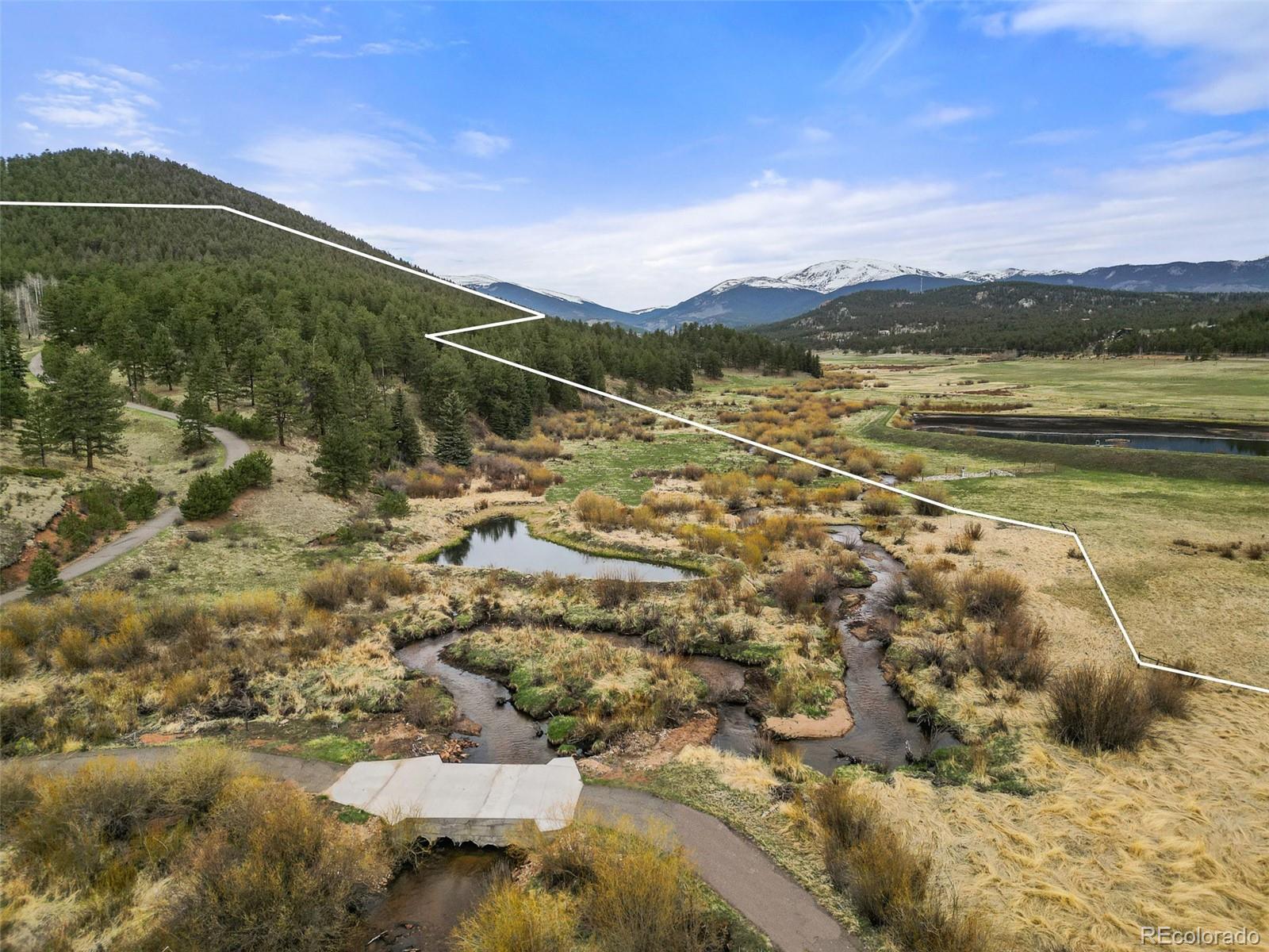 MLS Image #12 for 3763  county road 43 ,bailey, Colorado