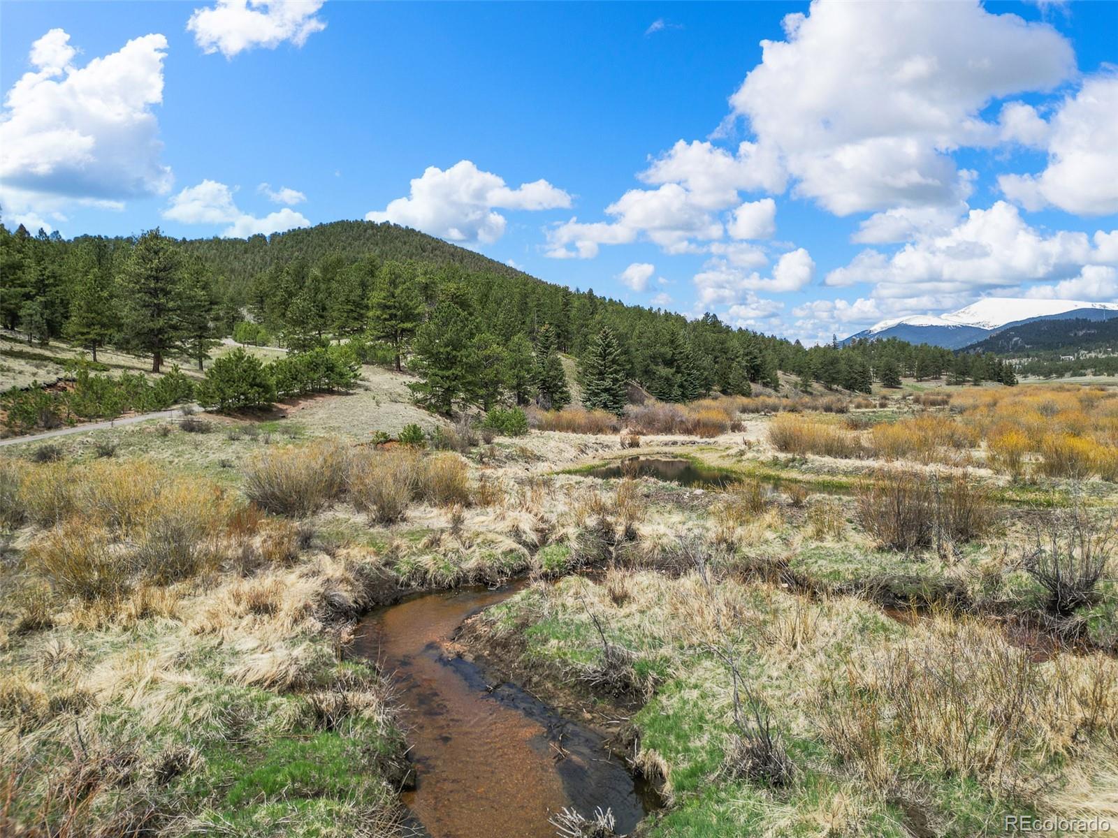 MLS Image #13 for 3763  county road 43 ,bailey, Colorado