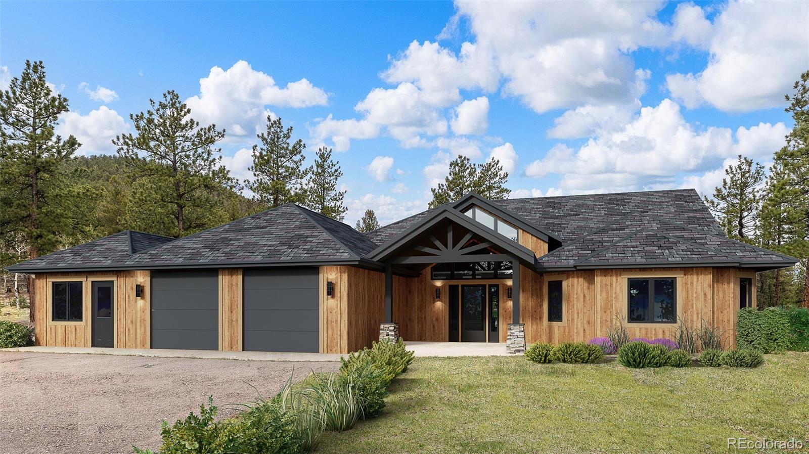 MLS Image #19 for 3763  county road 43 ,bailey, Colorado