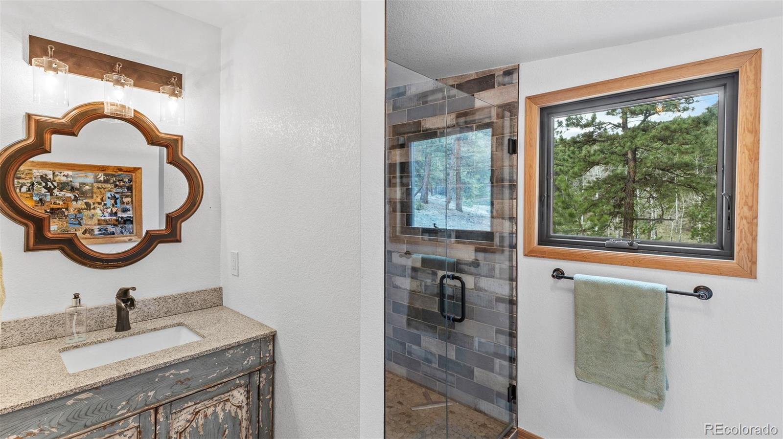 MLS Image #24 for 3763  county road 43 ,bailey, Colorado