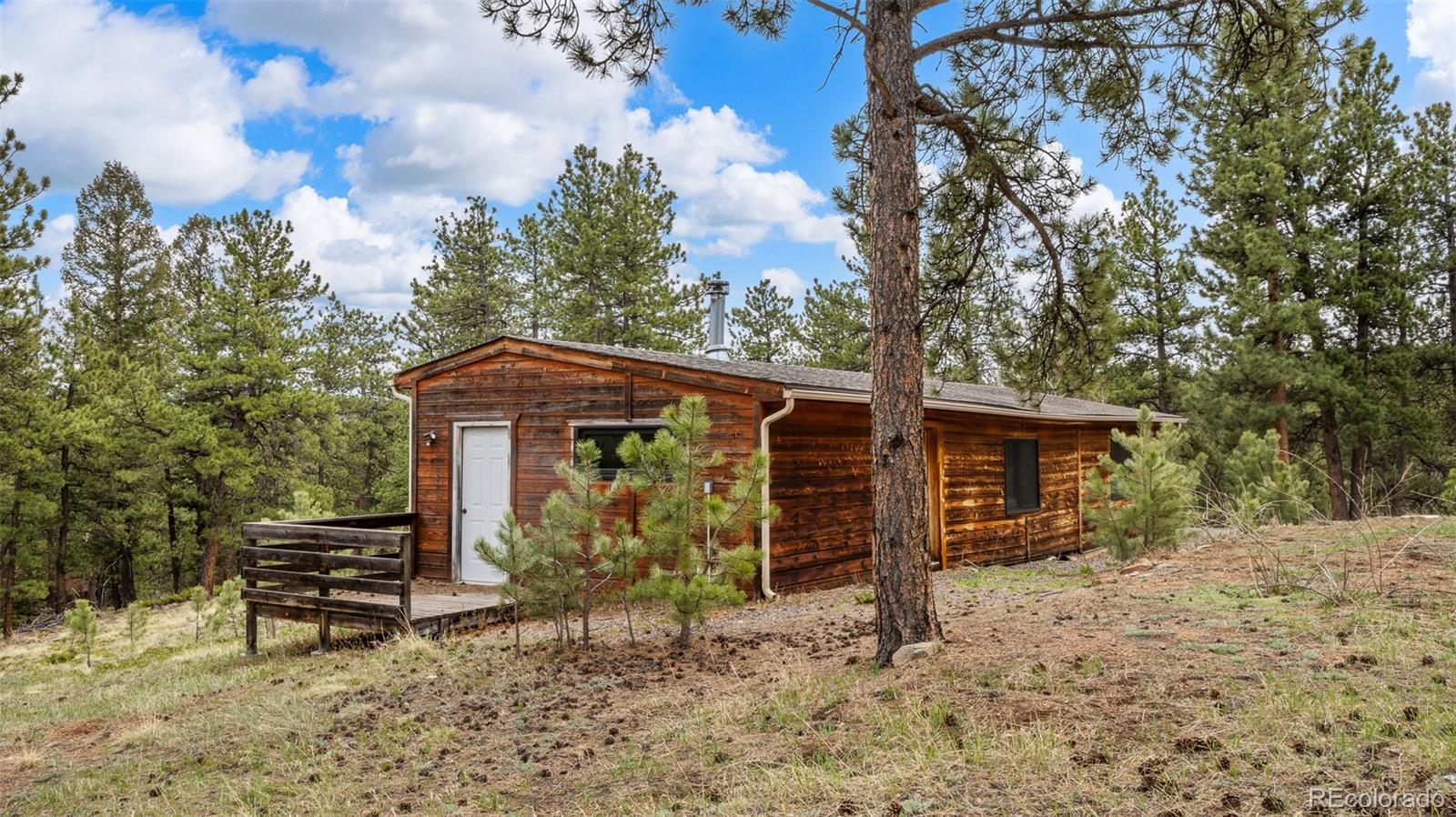 MLS Image #28 for 3763  county road 43 ,bailey, Colorado