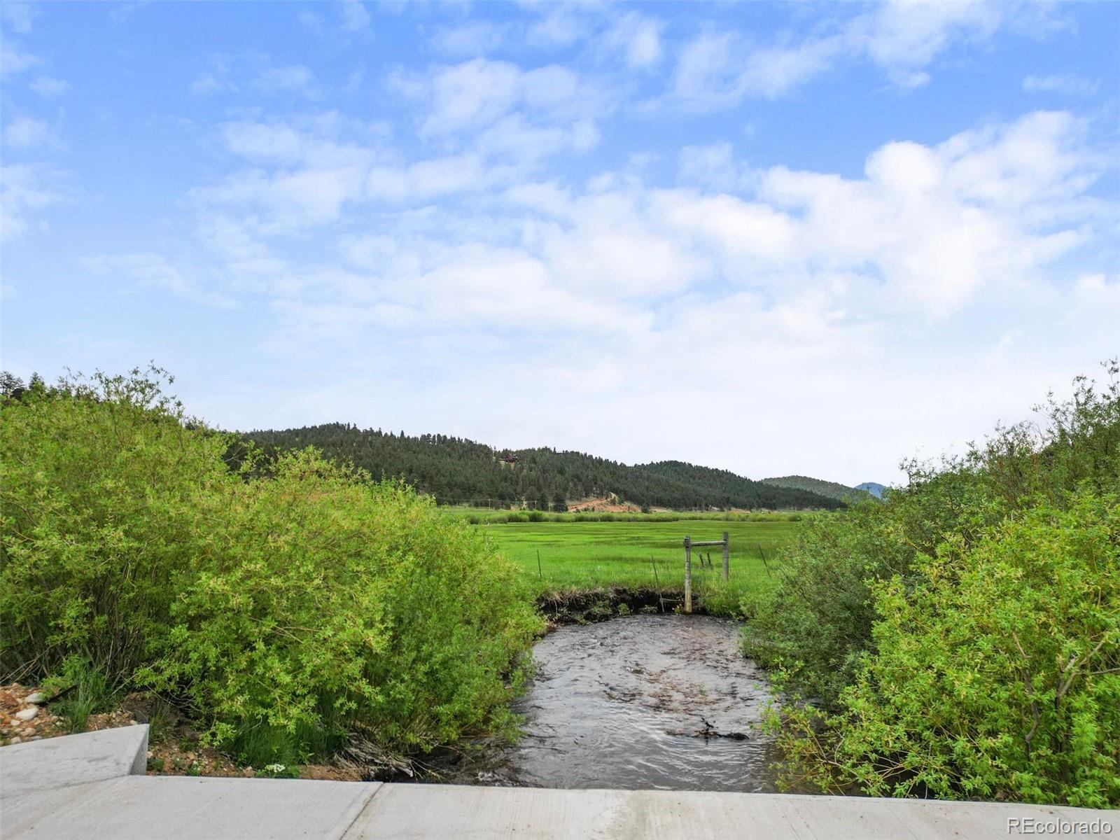 MLS Image #33 for 3763  county road 43 ,bailey, Colorado