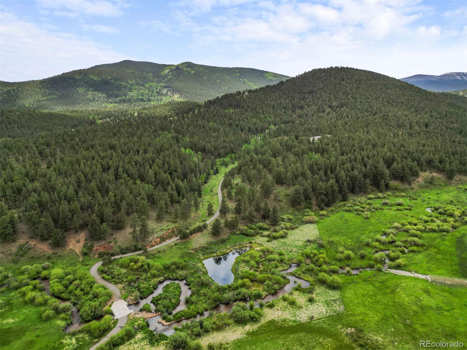 MLS Image #38 for 3763  county road 43 ,bailey, Colorado