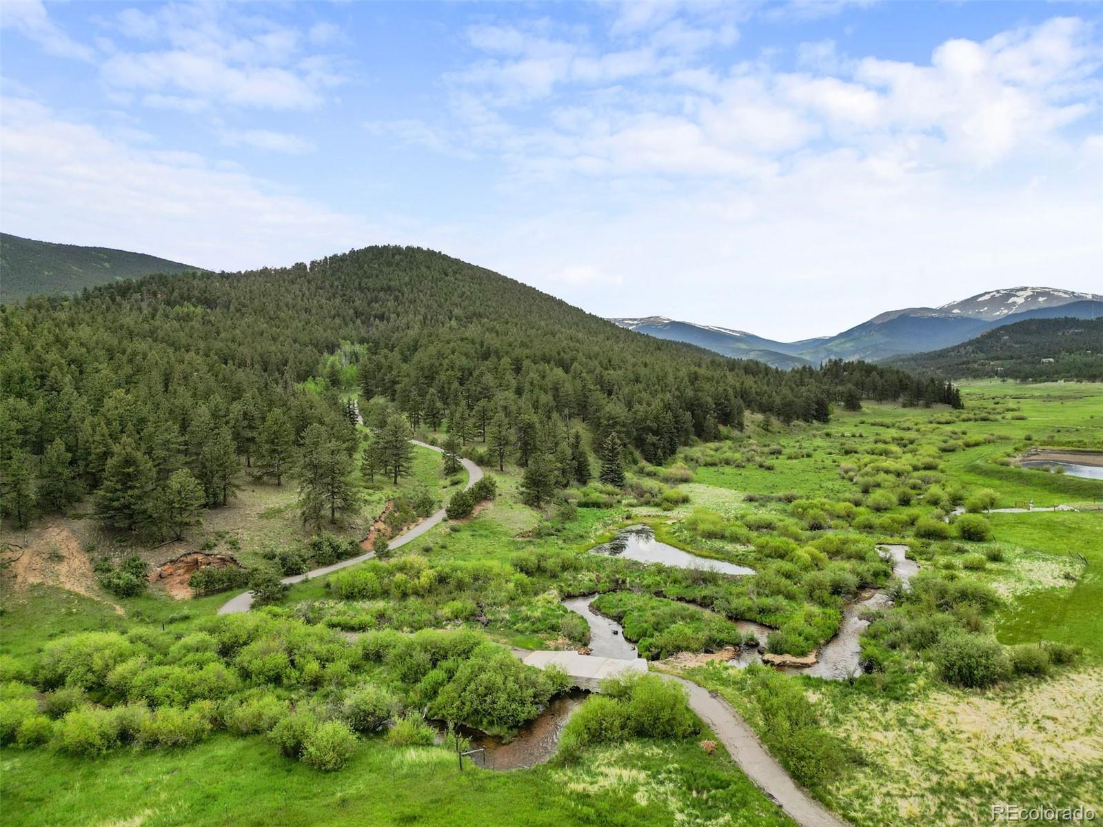 MLS Image #40 for 3763  county road 43 ,bailey, Colorado