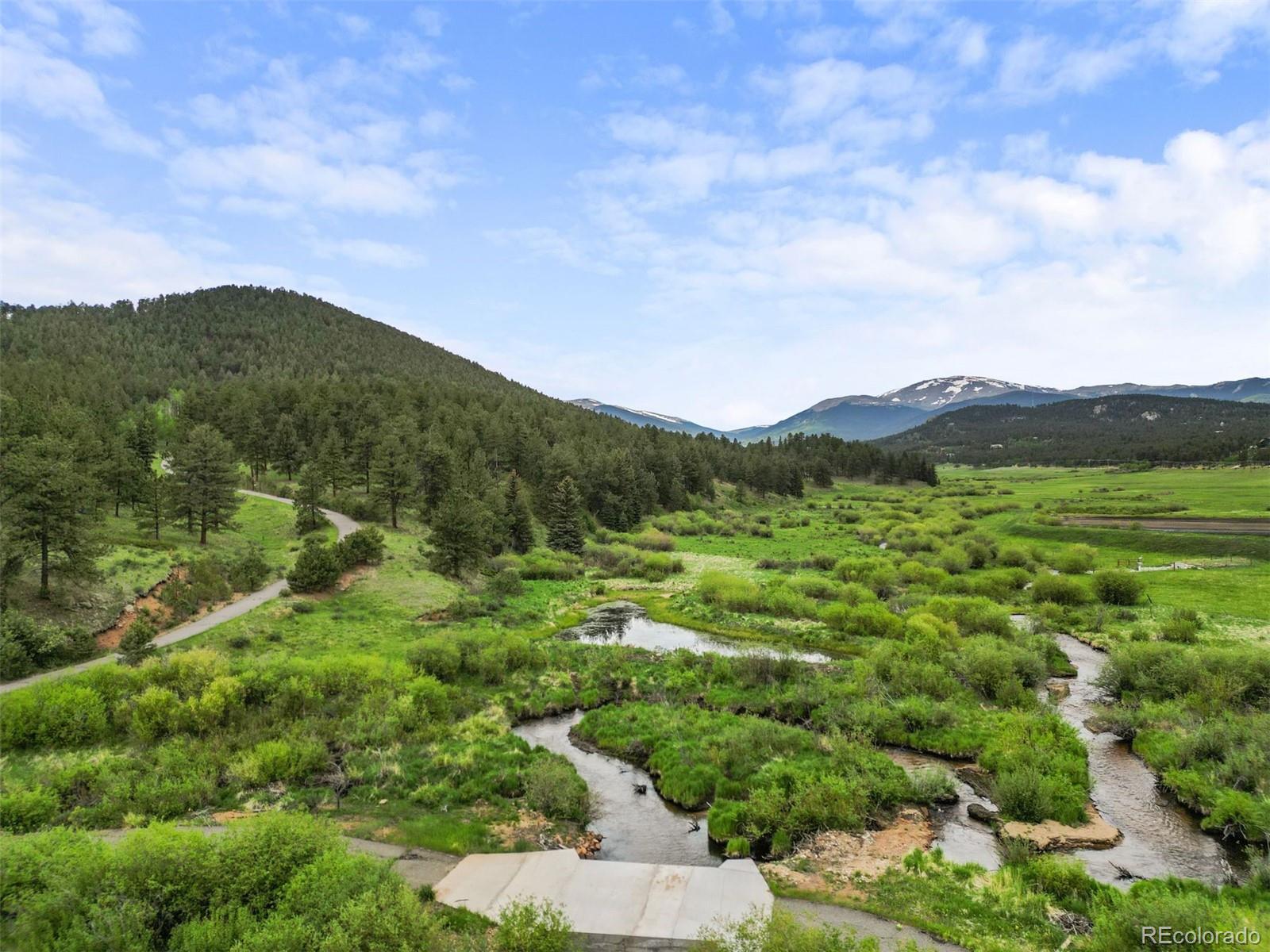MLS Image #41 for 3763  county road 43 ,bailey, Colorado
