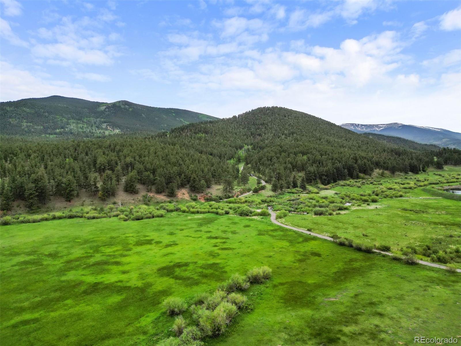 MLS Image #42 for 3763  county road 43 ,bailey, Colorado