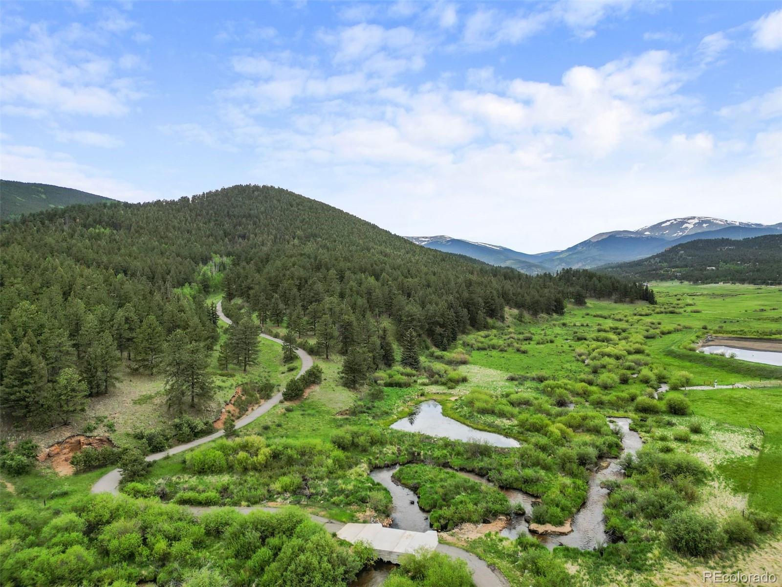 MLS Image #43 for 3763  county road 43 ,bailey, Colorado