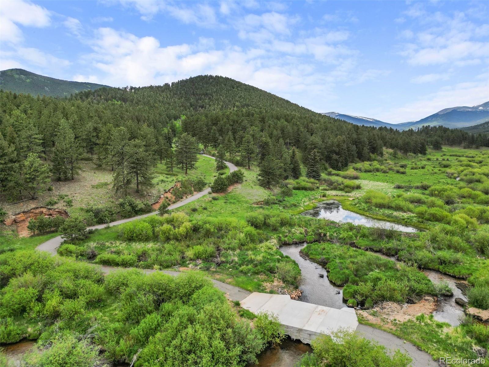 MLS Image #44 for 3763  county road 43 ,bailey, Colorado