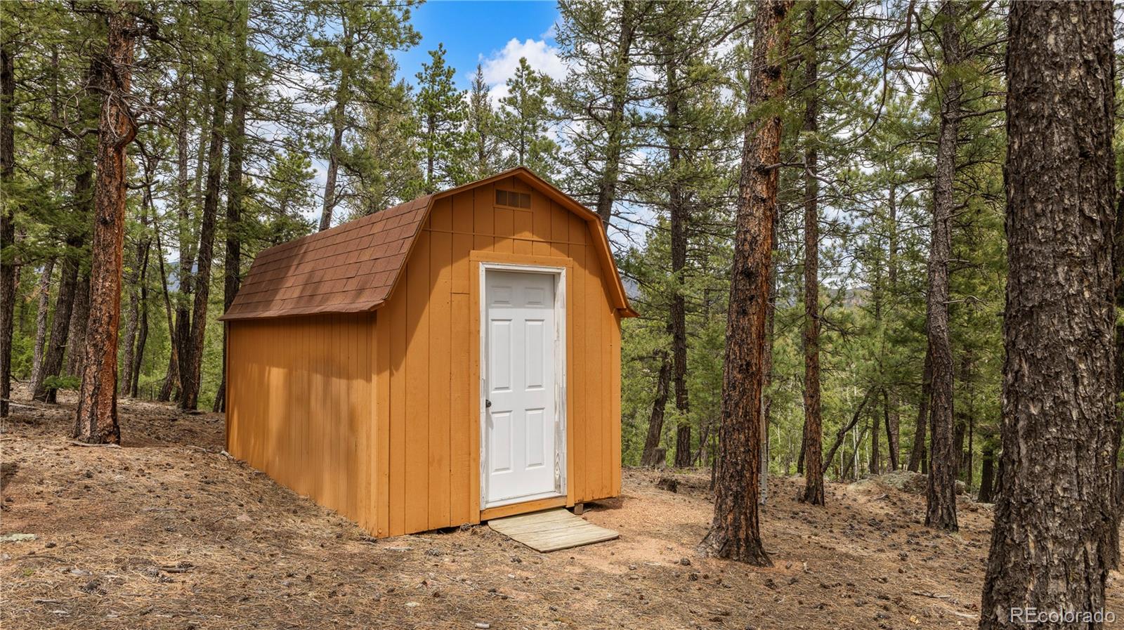 MLS Image #45 for 3763  county road 43 ,bailey, Colorado