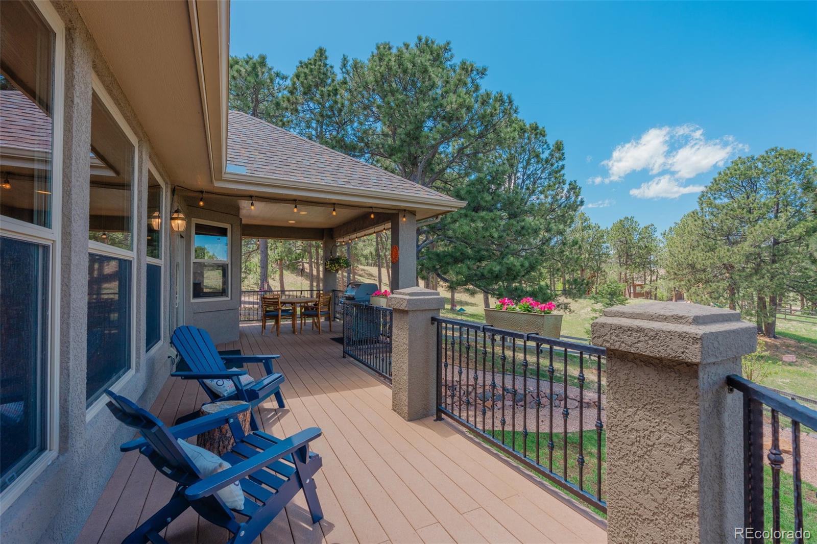 MLS Image #14 for 19336  queens crescent way,monument, Colorado