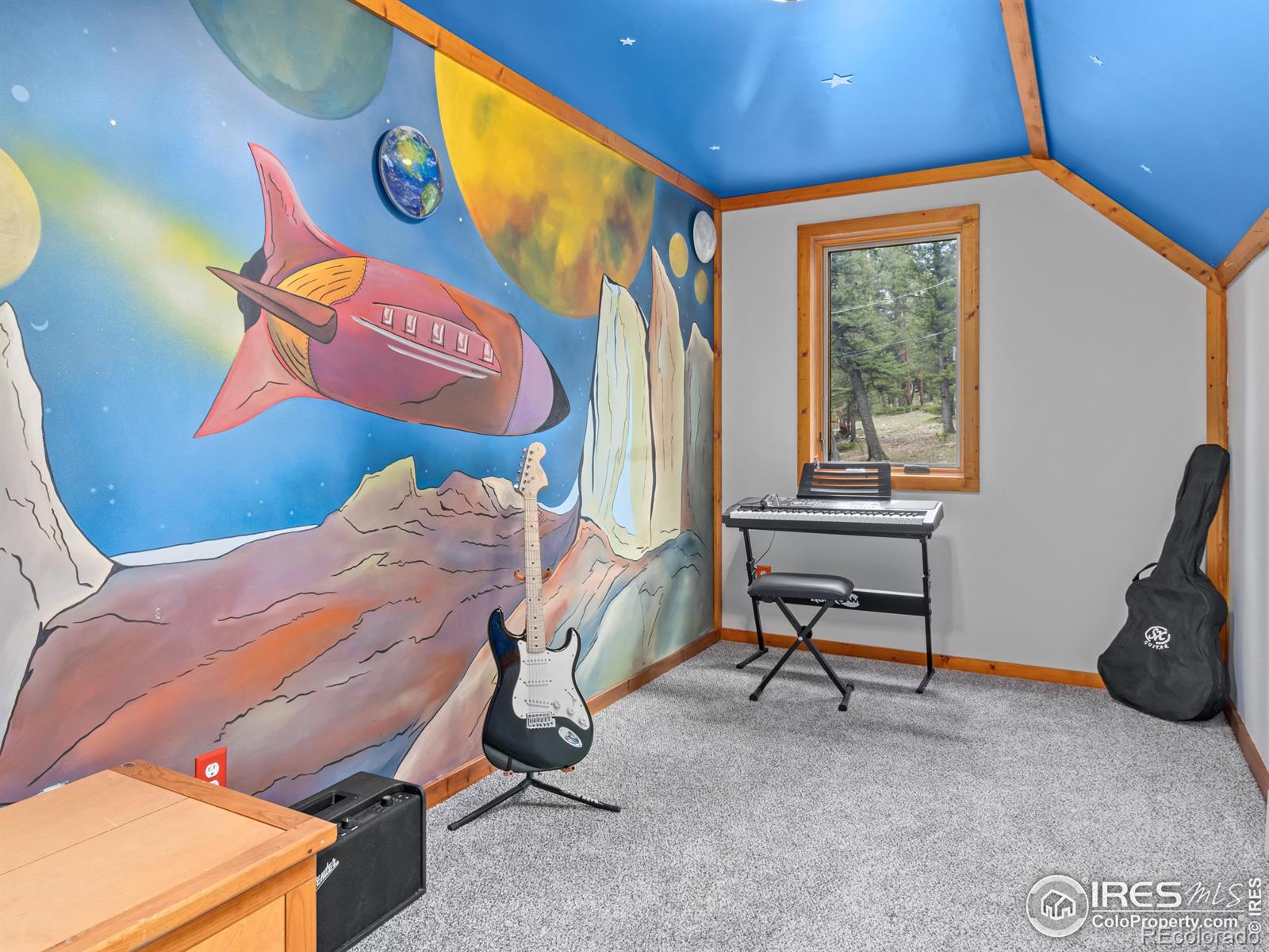 MLS Image #10 for 251  haugen slide road,allenspark, Colorado