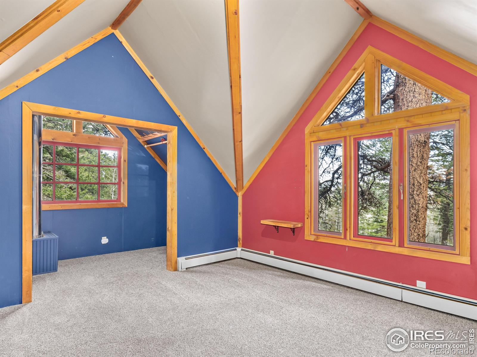 MLS Image #11 for 251  haugen slide road,allenspark, Colorado