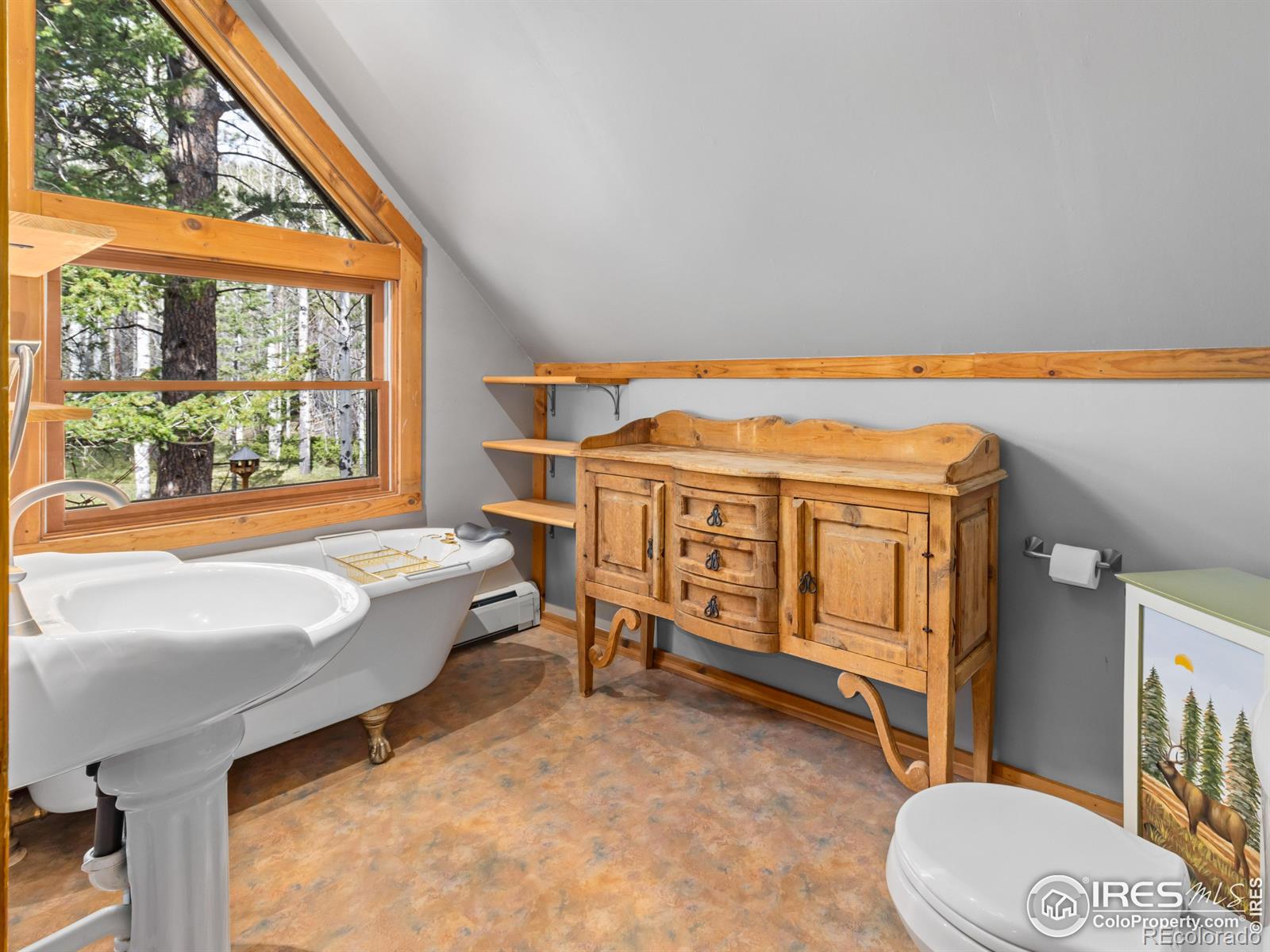 MLS Image #12 for 251  haugen slide road,allenspark, Colorado