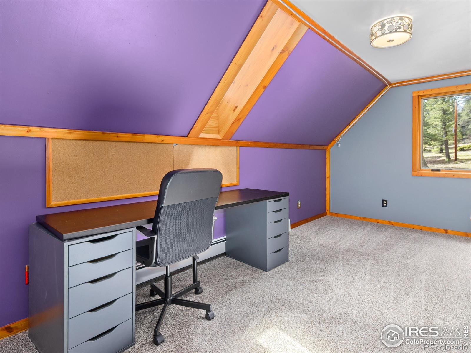 MLS Image #13 for 251  haugen slide road,allenspark, Colorado