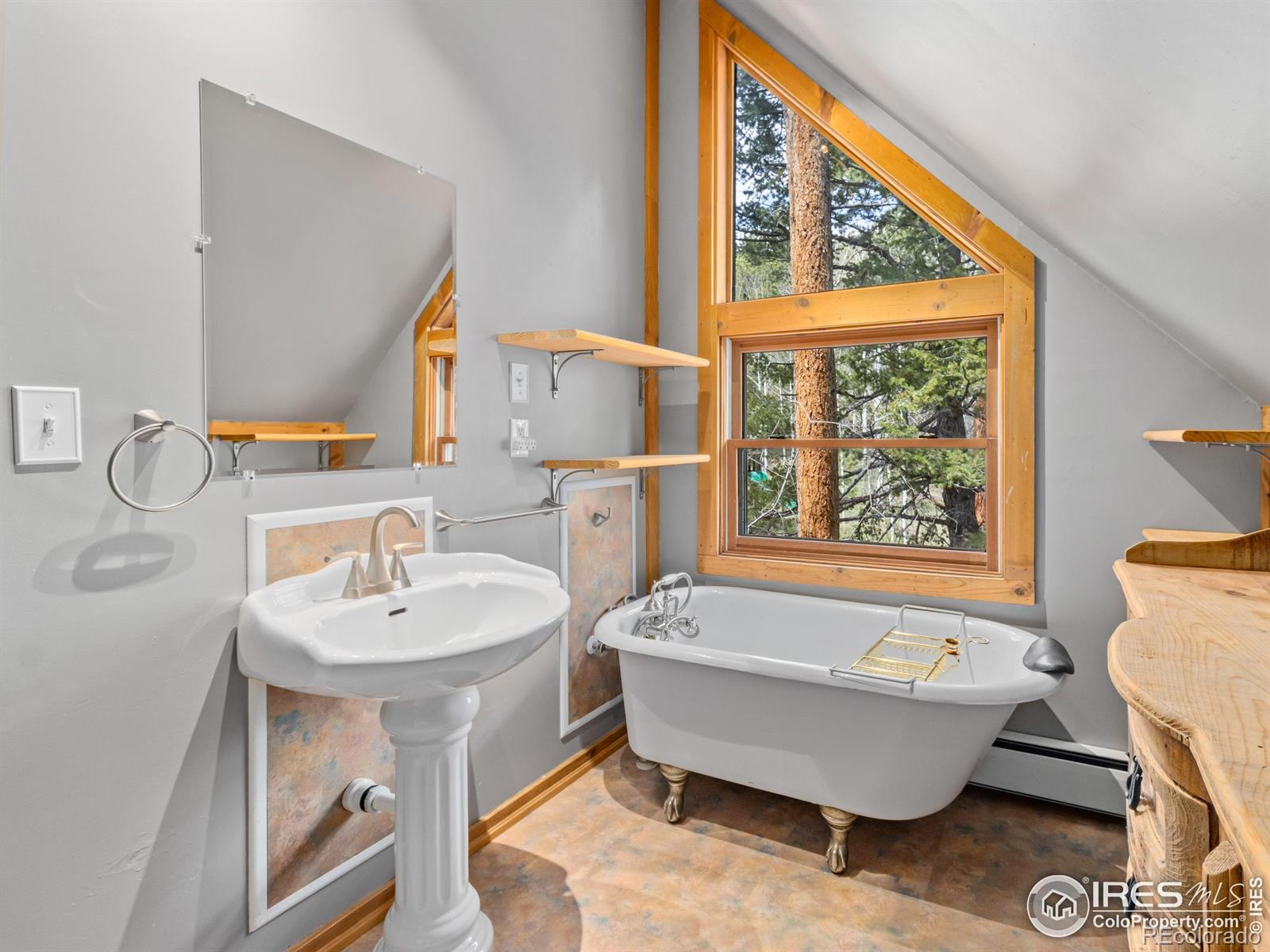 MLS Image #15 for 251  haugen slide road,allenspark, Colorado