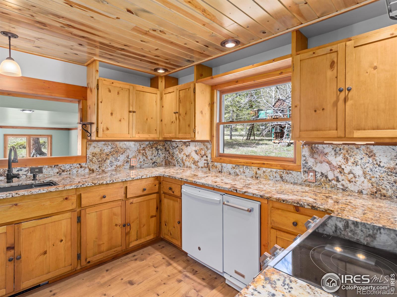 MLS Image #16 for 251  haugen slide road,allenspark, Colorado