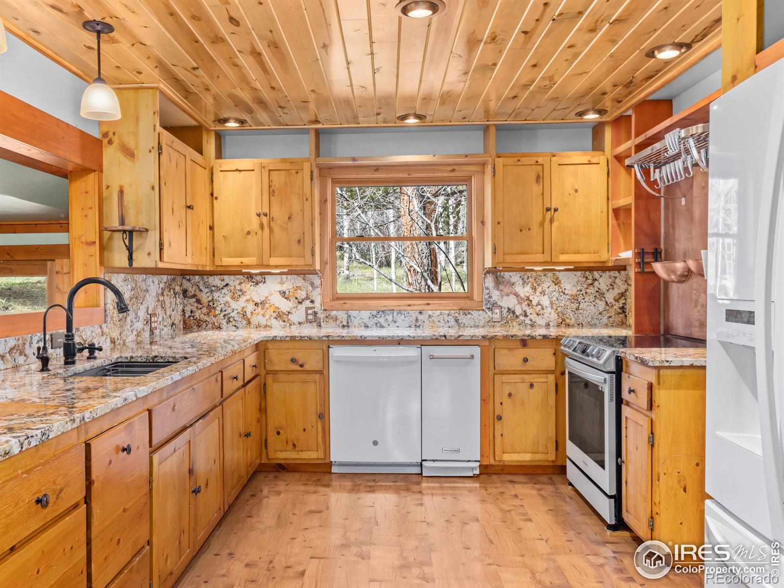 MLS Image #17 for 251  haugen slide road,allenspark, Colorado
