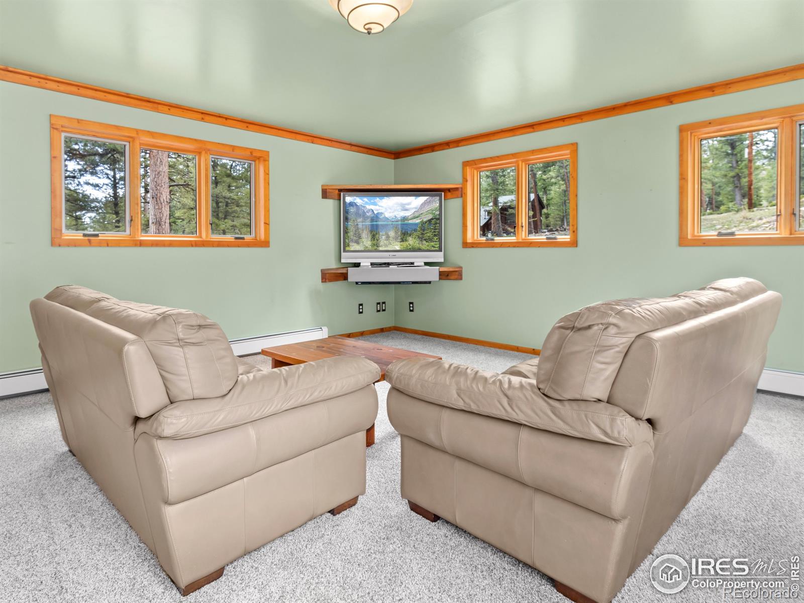 MLS Image #18 for 251  haugen slide road,allenspark, Colorado