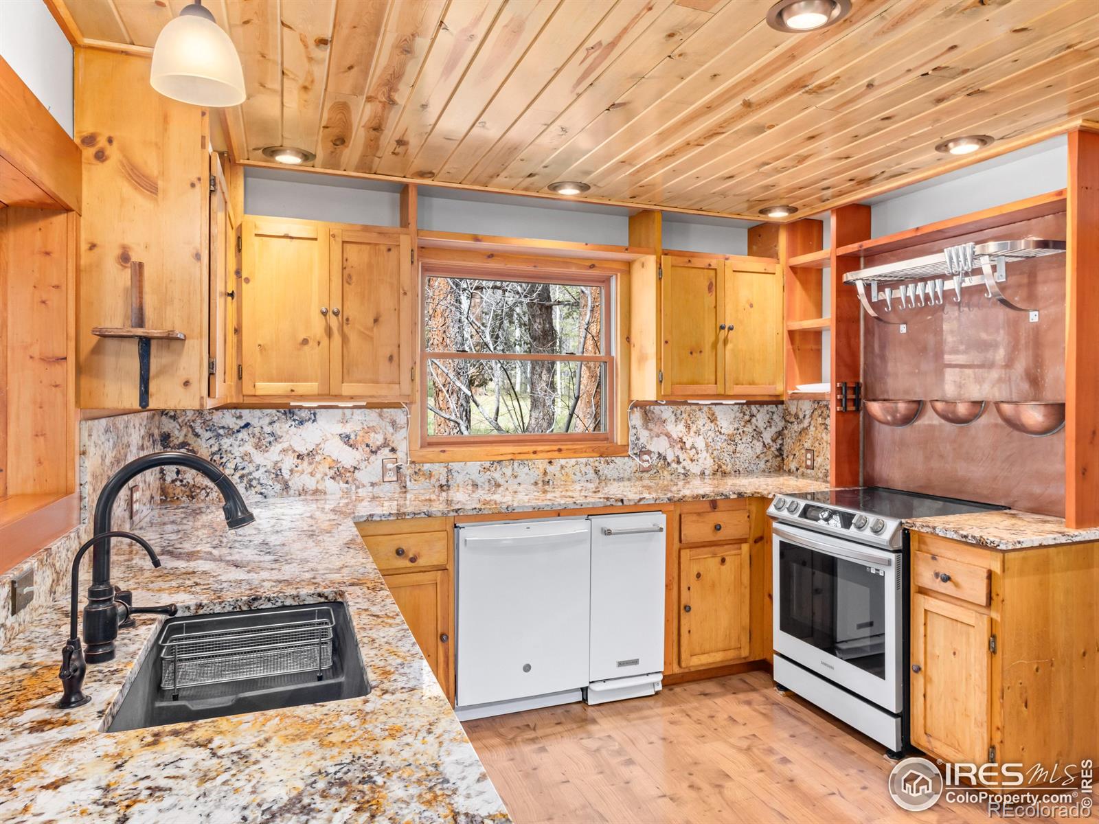 MLS Image #2 for 251  haugen slide road,allenspark, Colorado