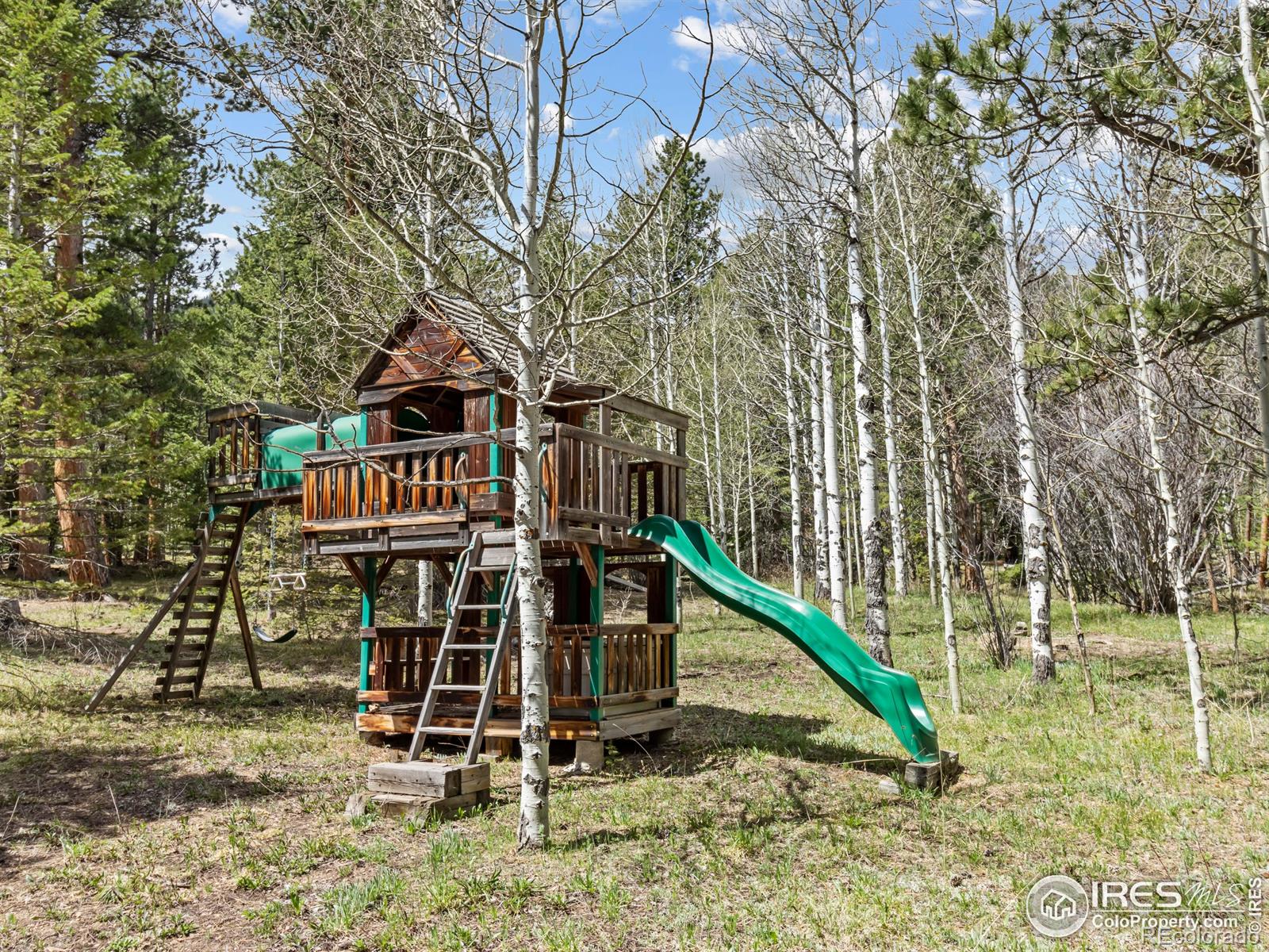 MLS Image #22 for 251  haugen slide road,allenspark, Colorado