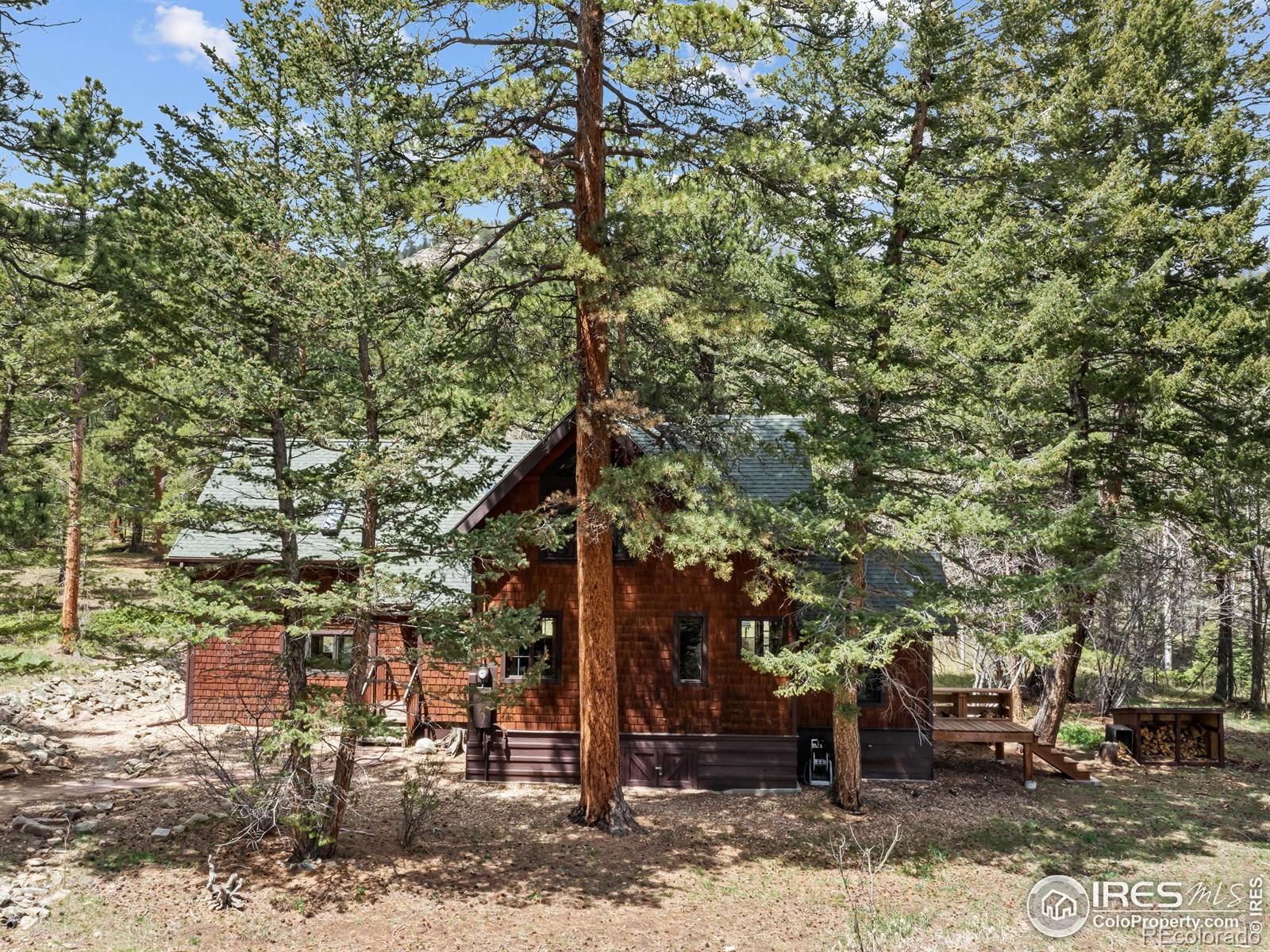 MLS Image #28 for 251  haugen slide road,allenspark, Colorado