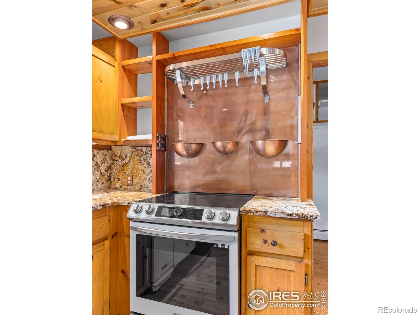MLS Image #3 for 251  haugen slide road,allenspark, Colorado