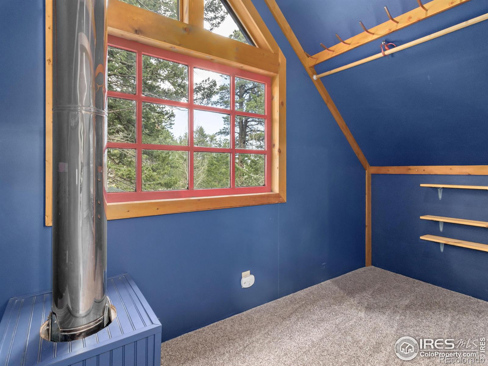 MLS Image #30 for 251  haugen slide road,allenspark, Colorado